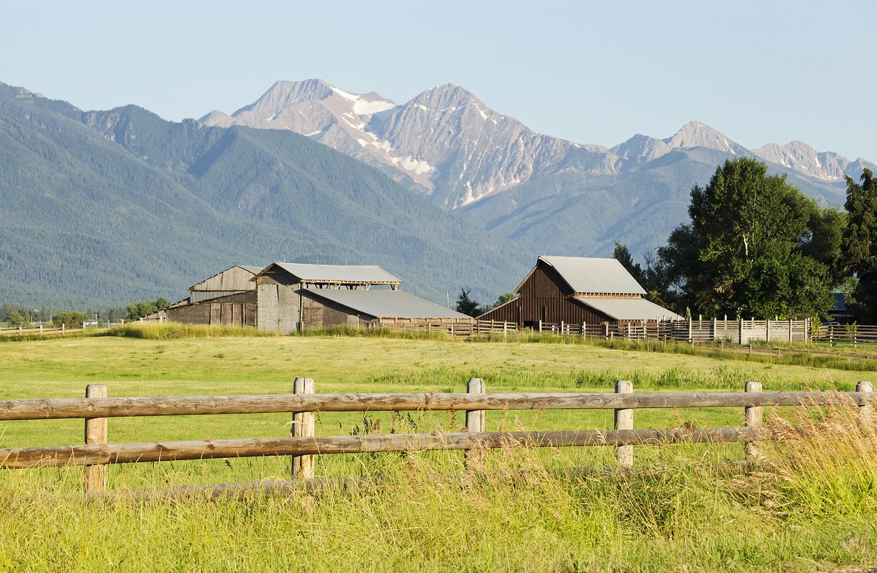 Expenses of Ranch Ownership